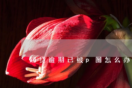 网贷逾期已被p图怎么办 网贷逾期已被p图怎么办
