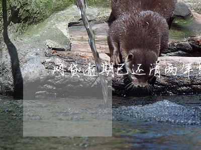 网贷逾期已还清两年影响房贷吗 网贷逾期已还清两年影响房贷吗