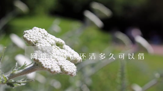 网贷逾期已还清多久可以借 网贷逾期已还清多久可以借