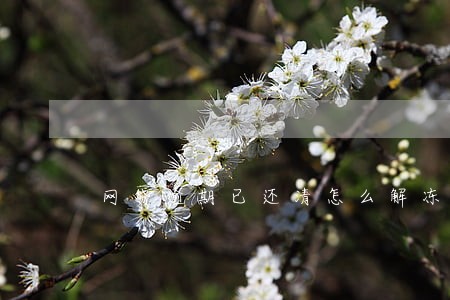 网贷逾期已还清怎么解冻 网贷逾期已还清怎么解冻