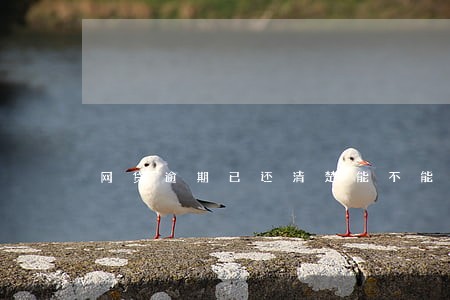 网贷逾期已还清楚能不能分期买车 网贷逾期已还清楚能不能分期买车