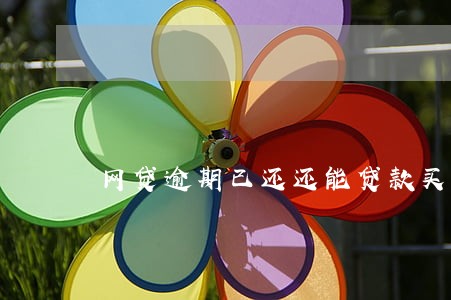 网贷逾期已还还能贷款买房吗 网贷逾期已还还能贷款买房吗