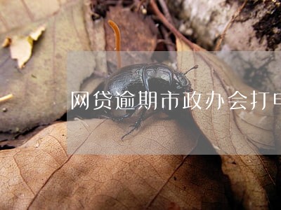 网贷逾期市政办会打电话来吗 网贷逾期市政办会打电话来吗