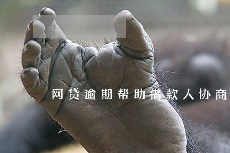网贷逾期帮助借款人协商还款 网贷逾期帮助借款人协商还款