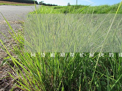 网贷逾期帮忙解决的律师靠谱吗 网贷逾期帮忙解决的律师靠谱吗
