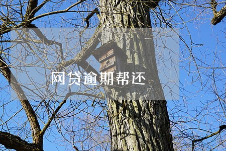 网贷逾期帮还 网贷逾期帮还