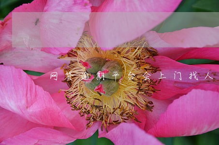 网贷逾期平台会上门找人吗 网贷逾期平台会上门找人吗