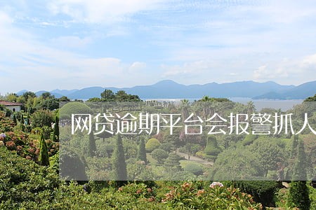 网贷逾期平台会报警抓人吗 网贷逾期平台会报警抓人吗