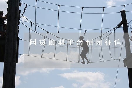 网贷逾期平台倒闭征信 网贷逾期平台倒闭征信