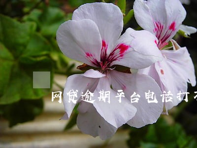 网贷逾期平台电话打不通 网贷逾期平台电话打不通