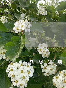 网贷逾期平台要怎么办 网贷逾期平台要怎么办