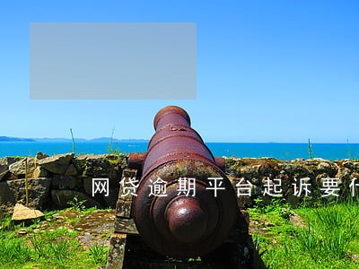 网贷逾期平台起诉要什么材料 网贷逾期平台起诉要什么材料