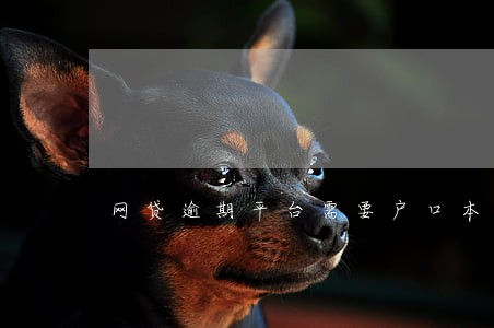 网贷逾期平台需要户口本 网贷逾期平台需要户口本