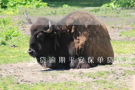 网贷逾期平安保单贷还能贷出来吗 网贷逾期平安保单贷还能贷出来吗