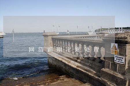 网贷逾期平账处理 网贷逾期平账处理
