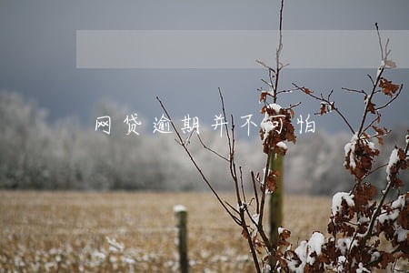 网贷逾期并不可怕 网贷逾期并不可怕