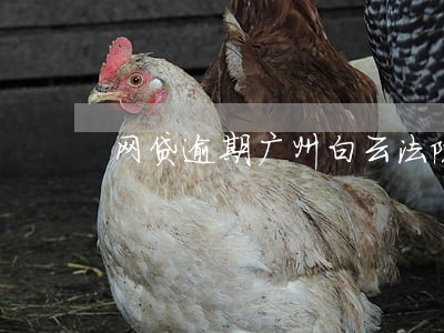 网贷逾期广州白云法院 网贷逾期广州白云法院