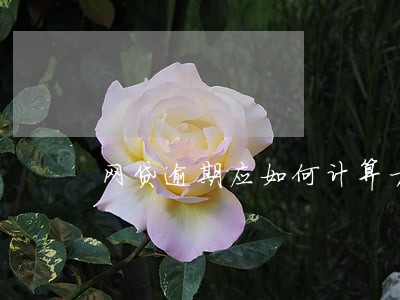 网贷逾期应如何计算方法 网贷逾期应如何计算方法