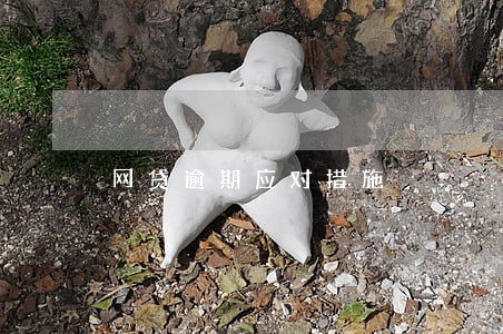 网贷逾期应对措施 网贷逾期应对措施