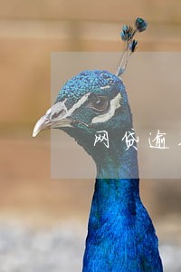网贷逾期应急办法 网贷逾期应急办法
