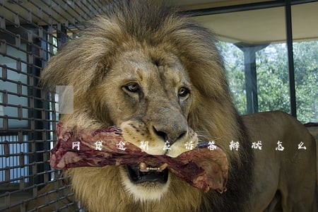 网贷逾期应诉答辩状怎么写