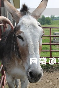 网贷逾期应诉通知书 网贷逾期应诉通知书