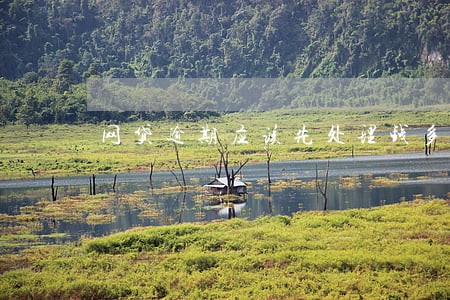网贷逾期应该先处理钱多钱少 网贷逾期应该先处理钱多钱少