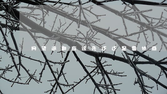 网贷逾期应该先还还是要协商 网贷逾期应该先还还是要协商