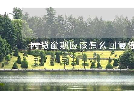 网贷逾期应该怎么回复催收 网贷逾期应该怎么回复催收