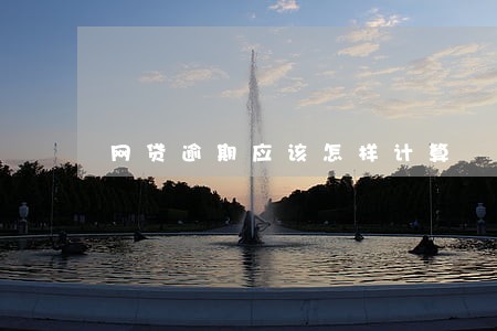 网贷逾期应该怎样计算