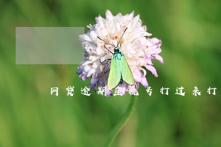 网贷逾期座机号打过来打不回去 网贷逾期座机号打过来打不回去