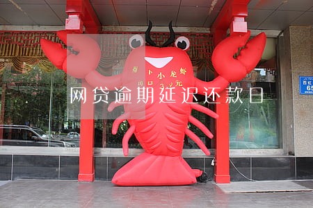 网贷逾期延迟还款日 网贷逾期延迟还款日