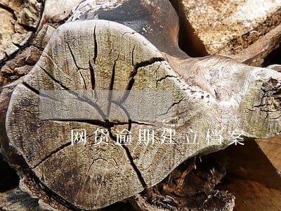 网贷逾期建立档案 网贷逾期建立档案