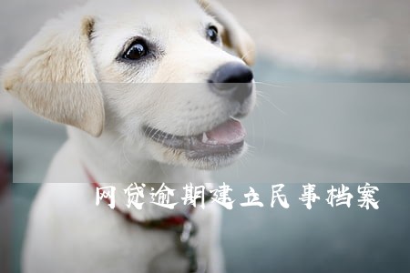 网贷逾期建立民事档案 网贷逾期建立民事档案