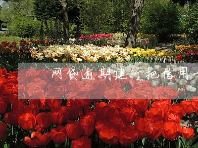 网贷逾期建行把信用卡冻结了