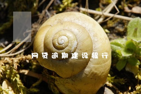网贷逾期建设银行 网贷逾期建设银行