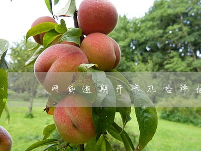 网贷逾期开卡风险评估是干嘛