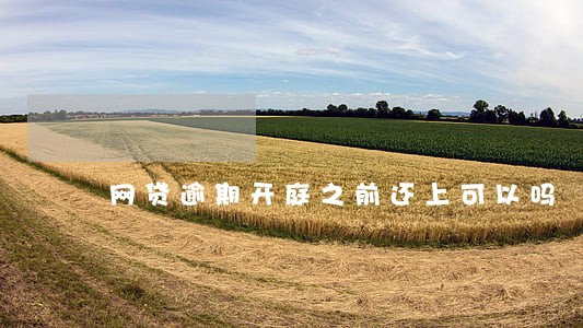网贷逾期开庭之前还上可以吗 网贷逾期开庭之前还上可以吗