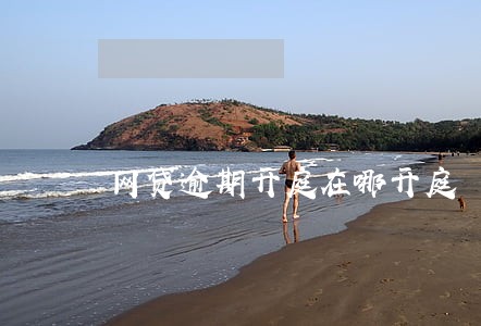 网贷逾期开庭在哪开庭 网贷逾期开庭在哪开庭