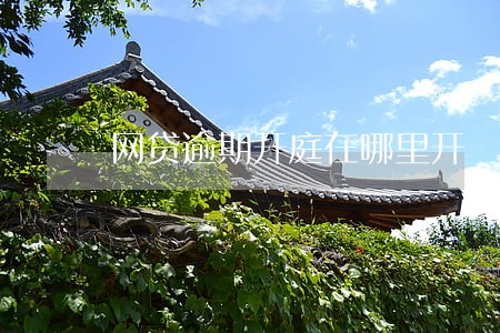 网贷逾期开庭在哪里开 网贷逾期开庭在哪里开