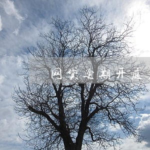 网贷逾期开庭应说什么 网贷逾期开庭应说什么