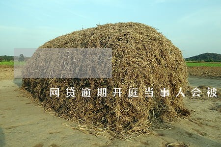 网贷逾期开庭当事人会被刑拘吗