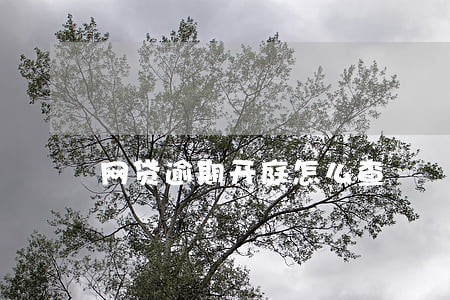 网贷逾期开庭怎么查 网贷逾期开庭怎么查