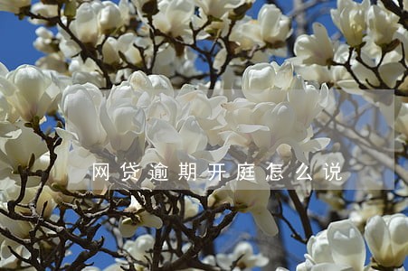 网贷逾期开庭怎么说 网贷逾期开庭怎么说