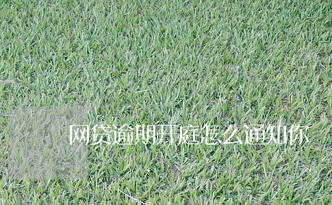 网贷逾期开庭怎么通知你 网贷逾期开庭怎么通知你