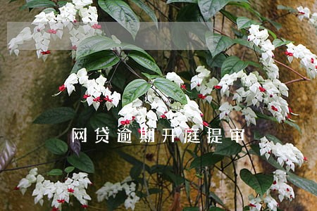 网贷逾期开庭提审 网贷逾期开庭提审