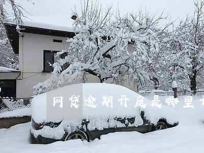 网贷逾期开庭是哪里开 网贷逾期开庭是哪里开
