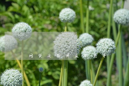 网贷逾期开庭的老哥 网贷逾期开庭的老哥