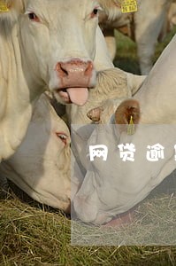 网贷逾期开庭通知书 网贷逾期开庭通知书