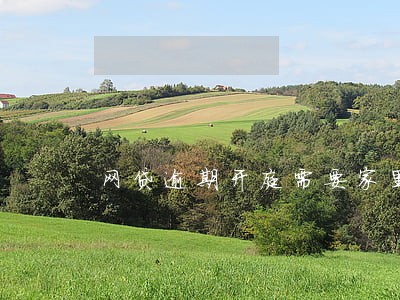 网贷逾期开庭需要家里人一起去吗 网贷逾期开庭需要家里人一起去吗